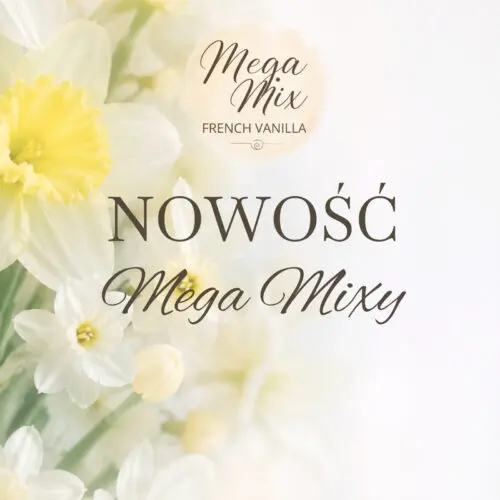 Mega Mixy