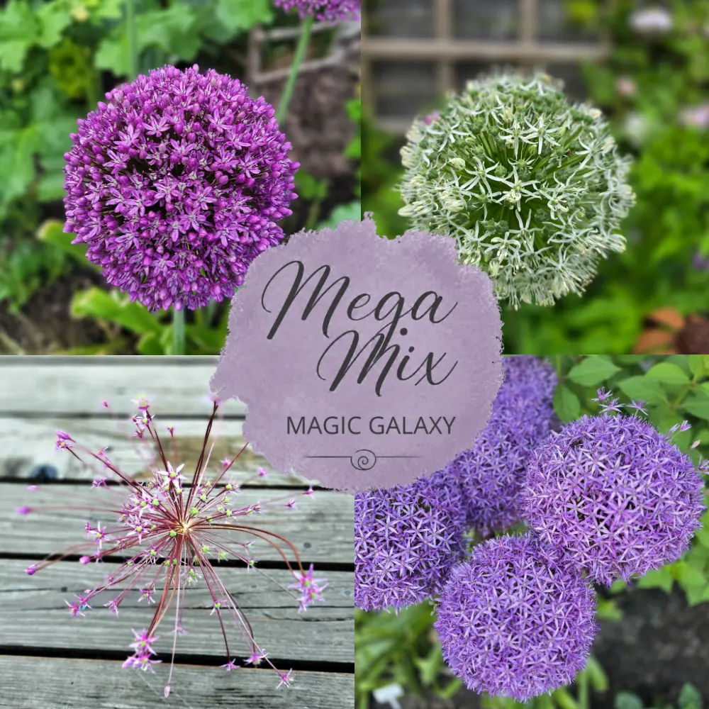 Ależ Mega Mix! MAGIC GALAXY
