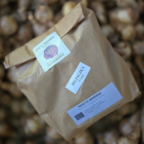 BIG PACZKI - więcej, taniej