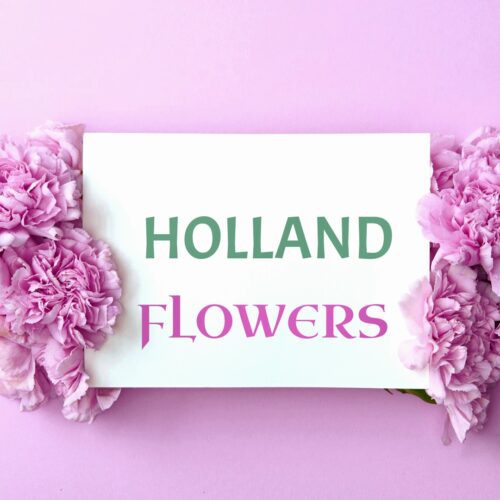Dalie Holland Flowers