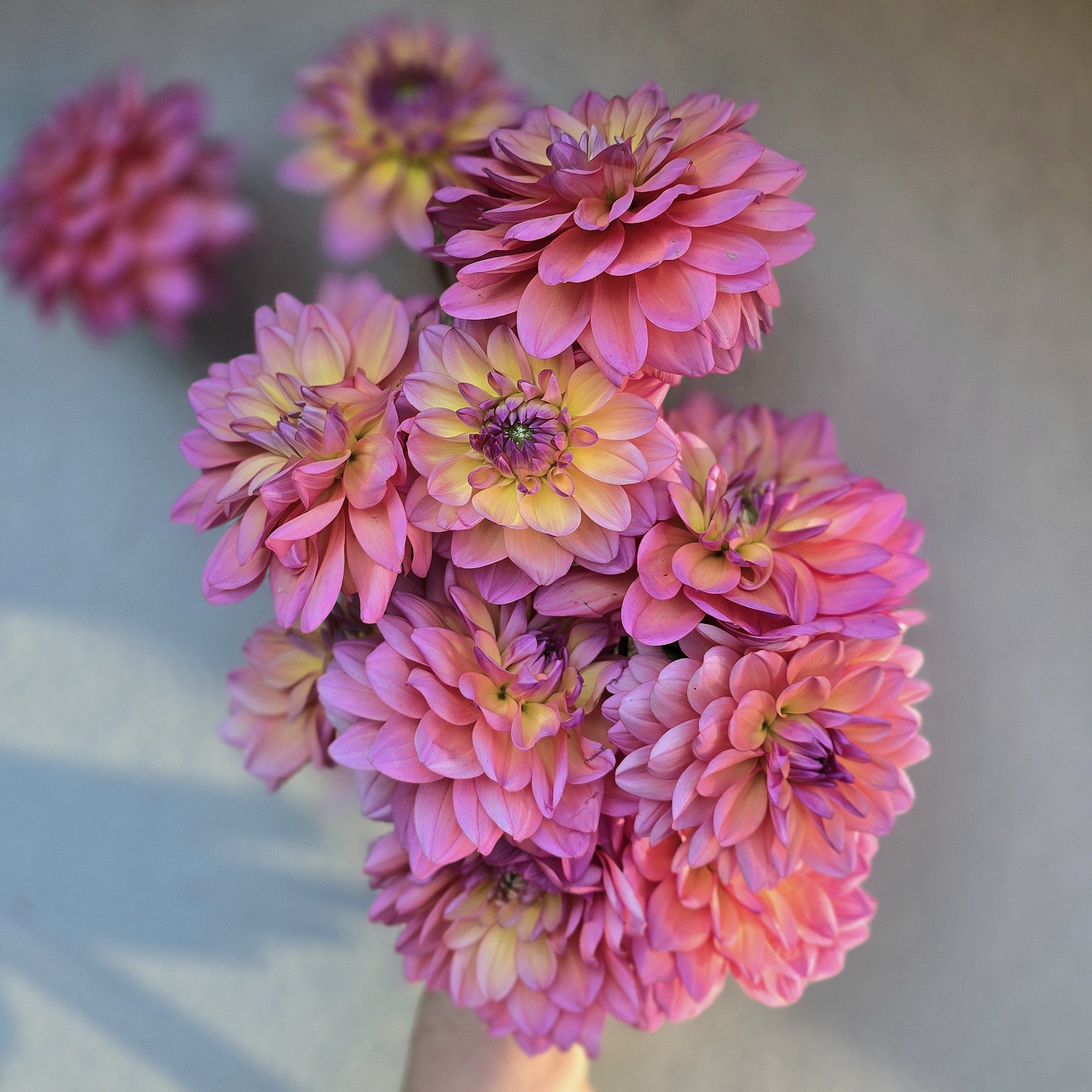 Great Silence - obrazek 3