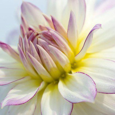 Crazy Love - obrazek 3